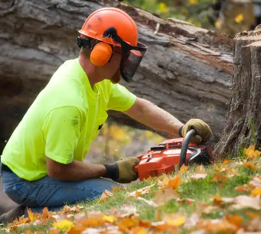 tree services West Babylon